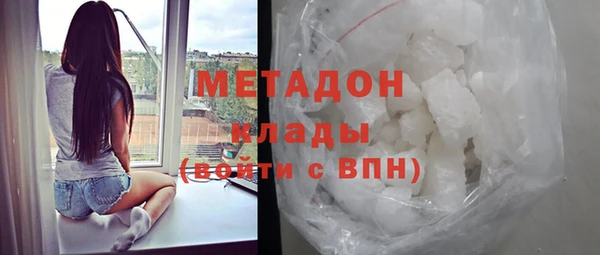 индика Арсеньев