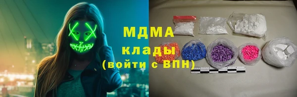 индика Арсеньев