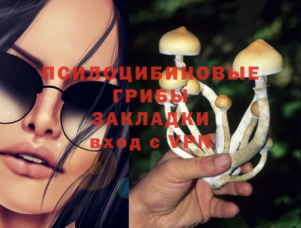 индика Арсеньев