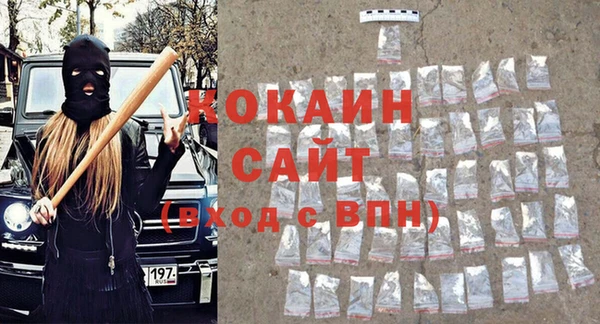 индика Арсеньев