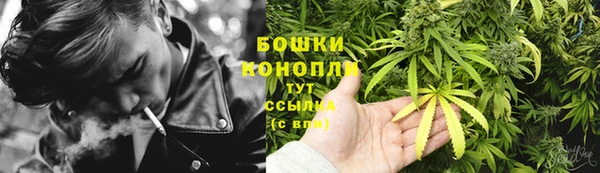 круглые Аркадак