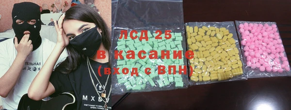 индика Арсеньев
