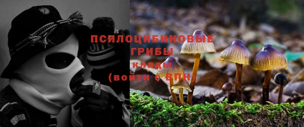 дурь Армянск