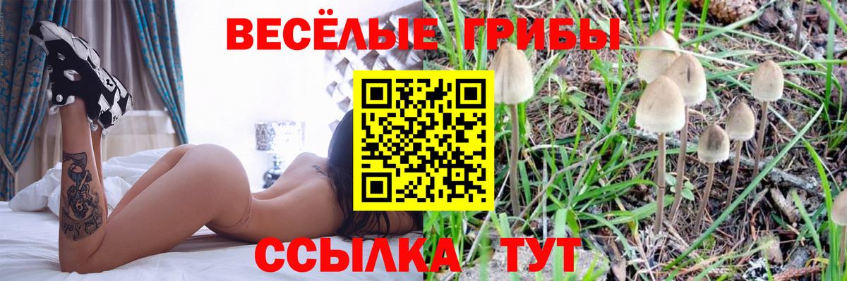 Псилоцибиновые грибы мухоморы Набережные Челны
