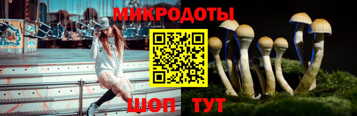Галлюциногенные грибы Psilocybe  Вход с VPN  Набережные Челны 